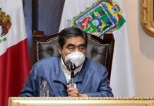 Actual gobierno acabó con tala y permisos para construcción de fraccionamientos en Flor del Bosque: MBH