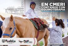 Centro municipal de equino terapia municipal y rehabilitación invita a conocer sus servicios.