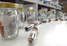 Herbario y Jardín Botánico BUAP, detonadores de la ciencia