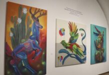 En San Pedro Museo de Arte, Cultura inaugura exposición “Psicodelia Animal”.