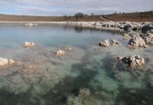 Mantiene Gobierno vigilancia para evitar obras en Laguna de Alchichica.