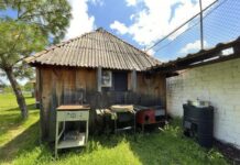 Agencia de Energía suscribe convenio con la Red Mexicana de Bioenergía.