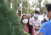 Inaugura SMADSOT expo-venta de árboles navideños