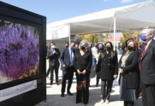 Urgente revertir degradación de la Tierra: Manrique y Mignot