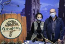 Promueve Turismo actividades para la recuperación económica del estado