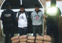 Detiene Policía Estatal a dos hombres en posesión de 50 kilos de marihuana