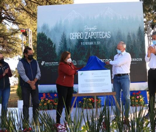Plantan Gobierno del Estado y Volkswagen 20 mil árboles en el Zapotecas