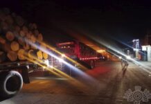 Captura Policía Estatal a presuntos talamontes