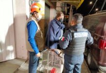 Atendió IBA a 49 animales tras colapso de inmueble de la 2 Poniente