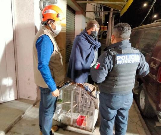 Atendió IBA a 49 animales tras colapso de inmueble de la 2 Poniente
