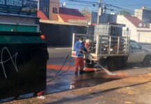 Medio ambiente municipal coordina brigada de limpieza y mantenimiento en Loma Bella.