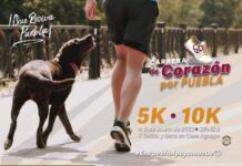 Realizará Patronato del SEDIF carrera con causa “De Corazón por Puebla”