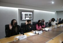 Proponen a García Olmedo como titular de la Unidad de Igualdad de Género en el Congreso.