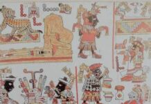 Acude al Complejo Cultural Los Pinos a visitar la exhibición de Códices Ñuu Savi