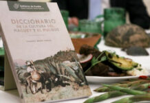 Con diccionario del proceso del pulque, cultura impulsa la conservación de costumbres.