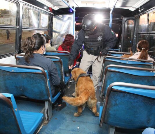 Ayuntamiento implementa operativos contra robo en transporte publico.