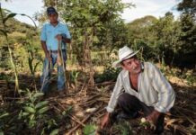 Reducir la quema agropecuaria en 40 por ciento, meta de Agricultura para 2024