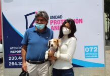 Más lomitos encuentran un hogar en las jornadas de adopción del Ayuntamiento de Puebla.