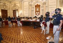 Se jubilan con honores 16 perros policía que sirvieron por mas de 7 años.