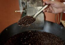 Realiza SDR catación “Calidad en Taza” para mostrar mejores cafés de Puebla