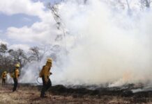 Puebla disminuye incendios en 14.7%