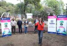 Presenta Ayuntamiento programa de reforestación “Aire Joven”