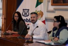 Habilitan micro sitio para transparentar ingreso por parquímetros.