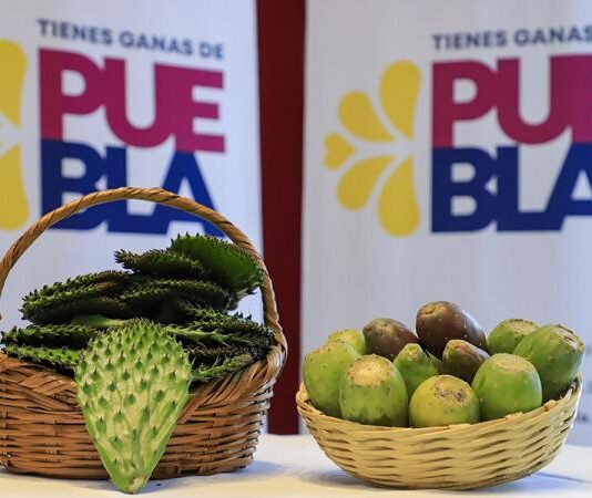Invita Acatzingo a Feria de la Tuna y el Nopal