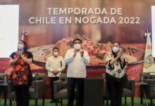 Con temporada de Chiles en Nogada, se preserva tradiciones que dan identidad a Puebla: MBH