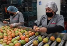 Positivo se tomen medidas complementarias al Pacto Contra la Inflación y Carestía: Coparmex.