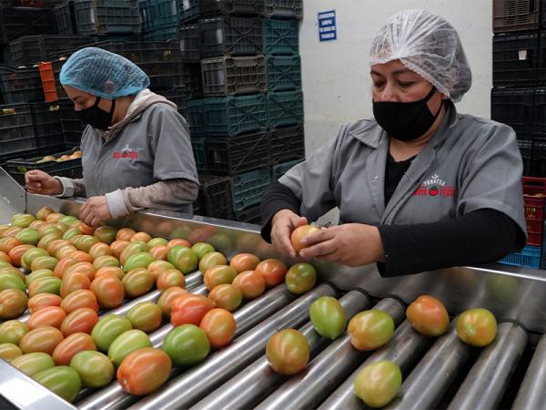 fe84f69c6a0dec823393e4ed19ce01fa_L