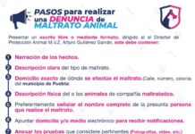 Denuncia el maltrato animal, Ayuntamiento de Puebla te dice como.