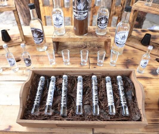 Para impulsar la industria de esta bebida artesanal, SDR presenta la Ruta Agroturística de Mezcal