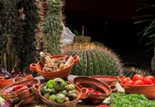 Anuncia Turismo temporada de Mole de Caderas