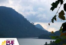 En Puebla, daños al medio ambiente no quedan impunes: SMADSOT