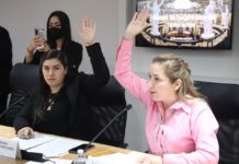 Ya hay ganadores para la Presea “Luis Rivera Terrazas”.