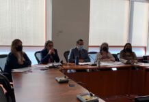 Se capacita a más de 200 personas integrantes de las áreas de Protección Consular sobre el Programa de Asesorías Legales Externas (PALE)