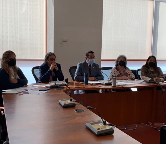 Se capacita a más de 200 personas integrantes de las áreas de Protección Consular sobre el Programa de Asesorías Legales Externas (PALE)