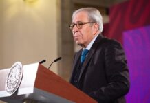 Trabajadoras independientes, del hogar y connacionales que viven en el extranjero pueden afiliarse al IMSS