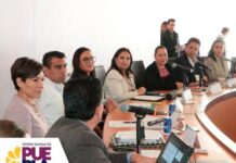 Franja de 71 municipios de Puebla y Tlaxcala enfrentarán problemática ambiental: Manrique