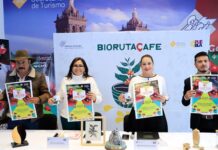 Presenta Turismo Bio Ruta del Café, circuito Sierra Norte