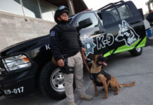 Eduardo Rivera incorpora 10 nuevos perros policías para la seguridad de los poblanos.