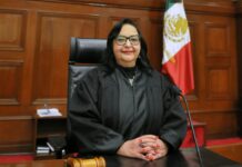 Desde 1917, la Constitución otorga importancia a la conservación de la naturaleza: Norma Piña.