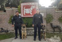 Premia organización labor de Unidad Canina de Centros Penitenciarios: SSP