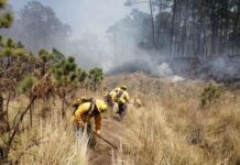 Establece gobierno de Puebla estrategias ante ola de calor y sequía