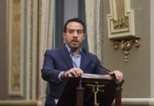 Proponen considerar el envenenamiento y quemaduras actos de crueldad animal