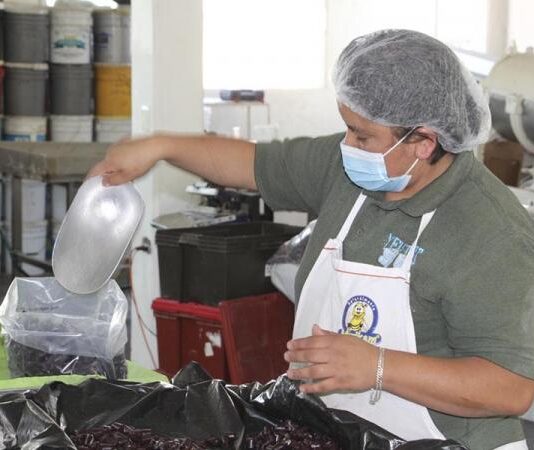 Registra Puebla su mayor nivel de empleo asegurado ante el IMSS