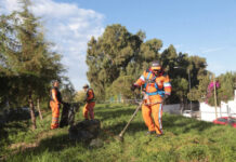 Gobierno Municipal refuerza la limpieza en barrancas.