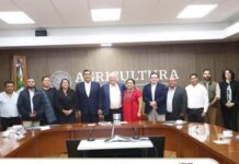 Presentan estrategia para impulsar el agave mezcalero
