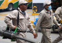 Cinco municipios concentran más de la mitad de los casos de dengue: Salud